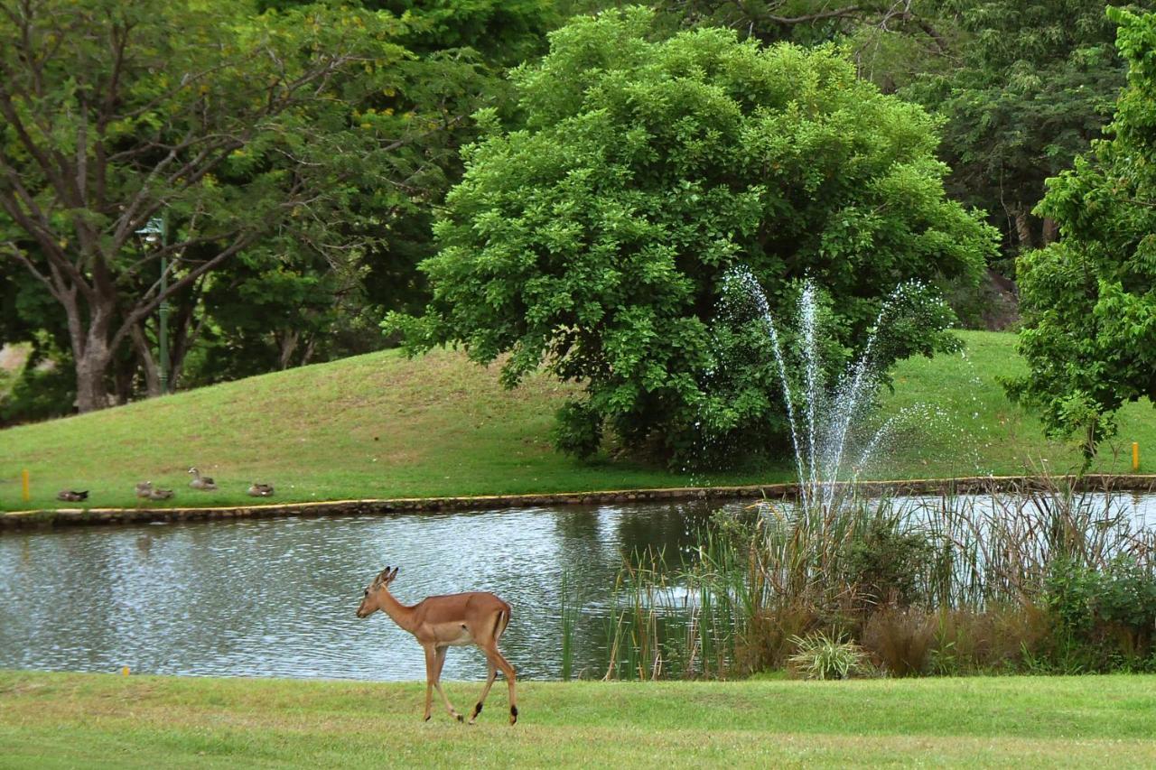 Kruger Park Lodge Unit No. 610B Hazyview Dış mekan fotoğraf